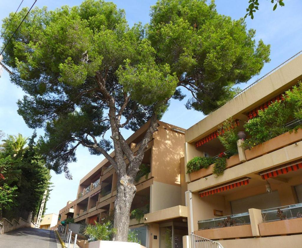 Studio Val Gardénias Bandol Exterior foto